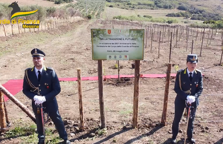GdF Messina : piantati 250 alberi nell'area RNO " Laghetti di Marinello"