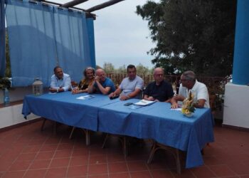 Bozza automatica 525