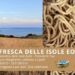 Scopri la Pasta Autentica delle Isole Eolie 1
