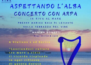 Bozza automatica 557