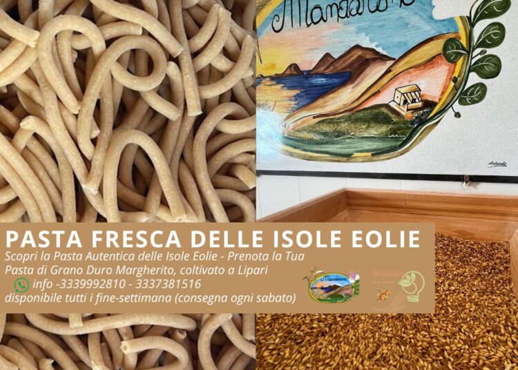 Bozza automatica 566