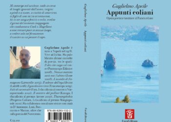 Bozza automatica 570