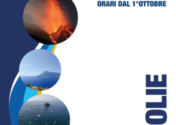 Bozza automatica 590