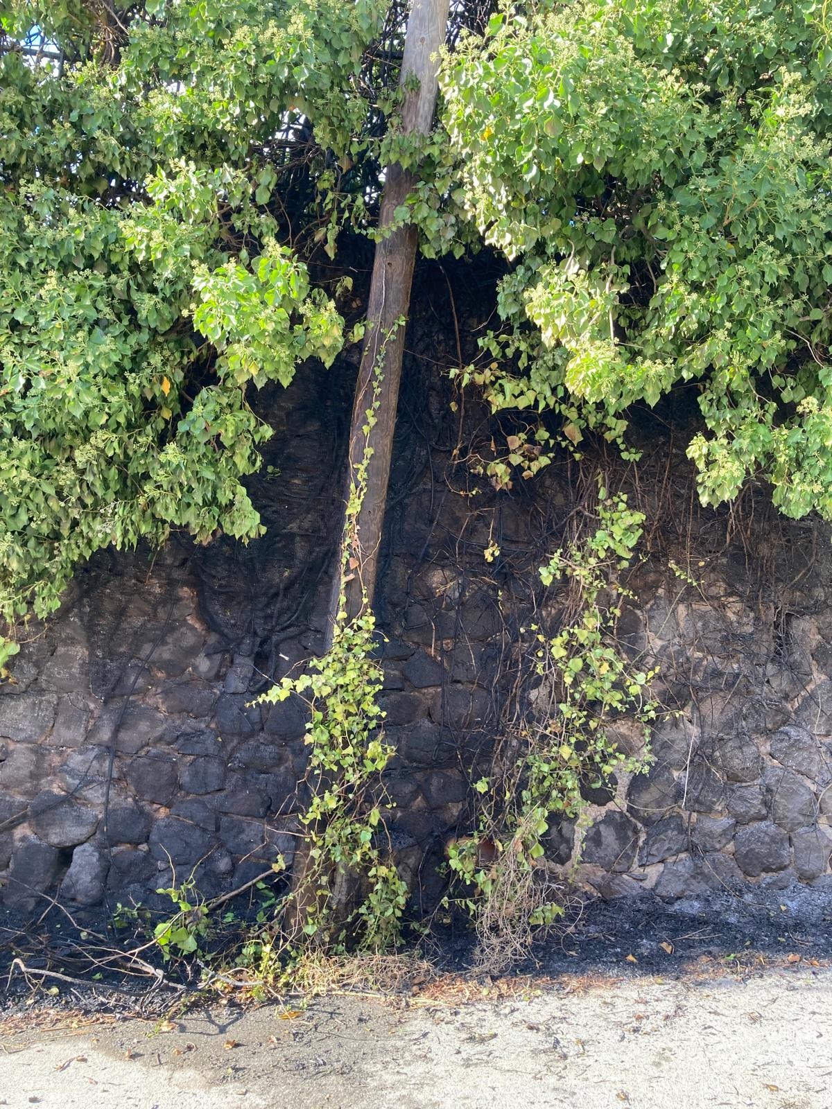 Quattropani : principio d'incendio dalla strada arriva alla scuola 2