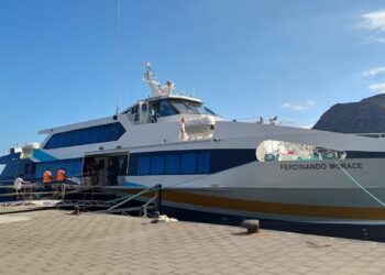 Bozza automatica 626