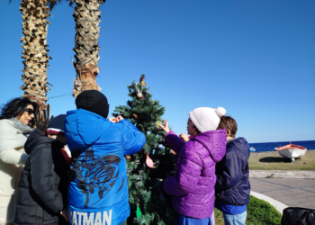 A Canneto l'albero dello scolaro