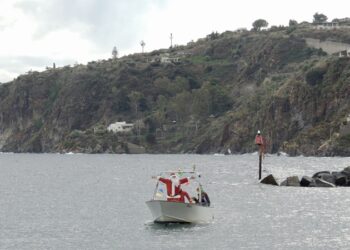 Bozza automatica 669