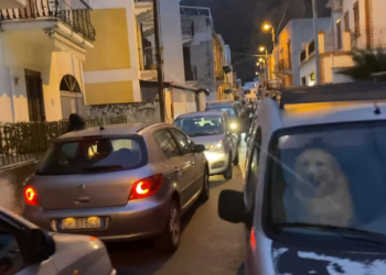 Canneto: traffico autoveicolare paralizzato