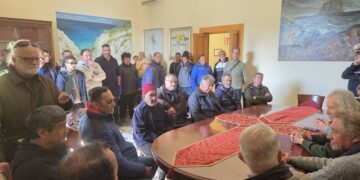 Bozza automatica 720