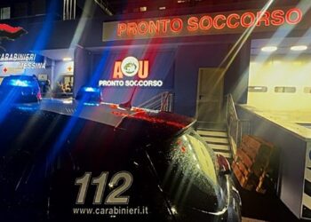 Bozza automatica 761