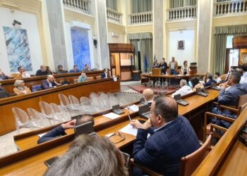 Eletti i 14 consiglieri della Città Metropolitana di Messina :  c'è anche il liparoto Nuccio Russo (Lega)