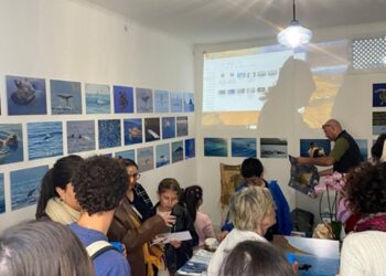 Lipari ha il suo "Turtle Point" per la biodiversità marina