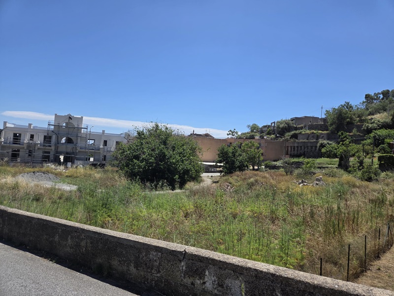 Zinzolo : prima della palestra, oggi "foresta", pubblica vengono i sottoservizi 1