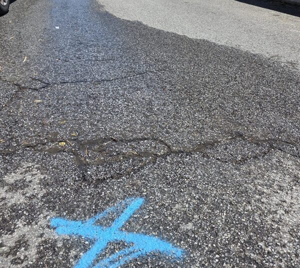 Zinzolo : prima della palestra, oggi "foresta", pubblica vengono i sottoservizi