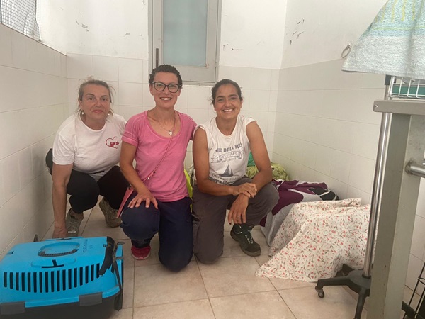 Lipari, inaugurato il primo ambulatorio veterinario comunale al servizio delle sei isole 1