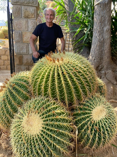 A Panarea, il Colonnello e i Cuscini della suocera: storia di un giardino di sensibilità, arte e tenacia 1