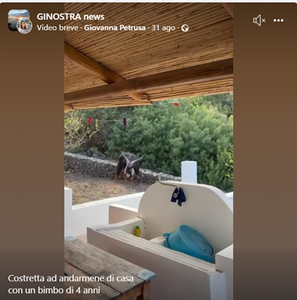 Via da Gino