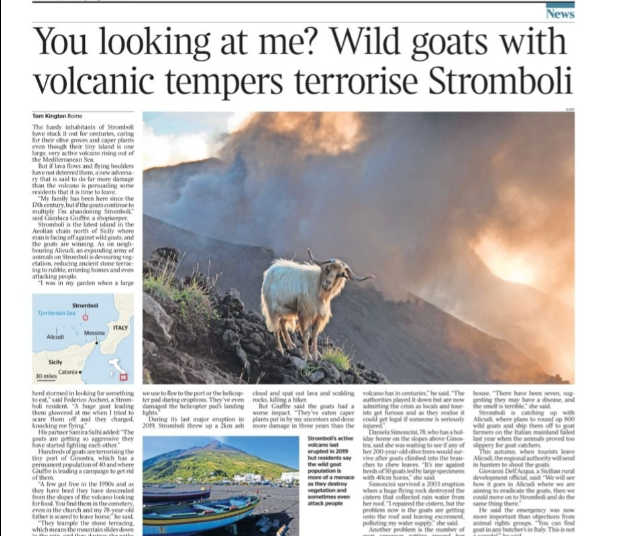 Ginostra : l'emergenza capre finisce sul prestigioso "Times"