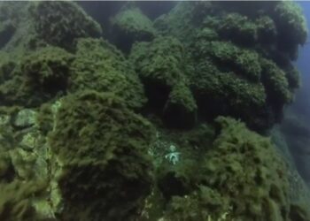 Lipari, materiali di scena ritrovati sui fondali di Pietra del Bagno: Savarino dispone verifiche ambientali urgenti