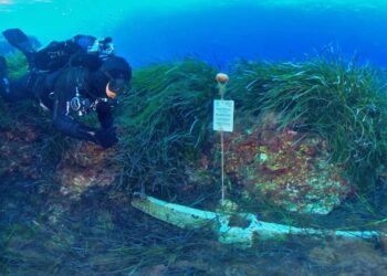 La Sicilia protagonista alla Borsa mediterranea del turismo archeologico di Paestum