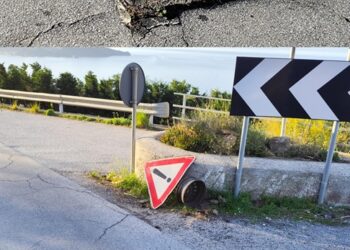 Coscione : un tob