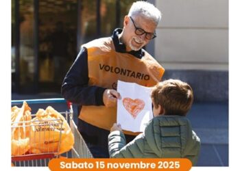 Bozza automatica 878