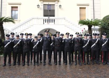 Bozza automatica 890