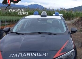 Illecito sversamento di acque reflue, i Carabinieri sequestrano due frantoi oleari