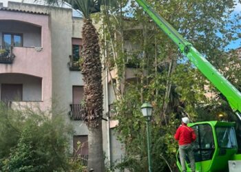 Interventi di potatura a Lipari, a breve nelle altre isole