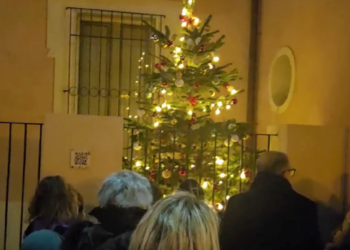 Maria SS. di Portosalvo, la luce dell'albero di Natale