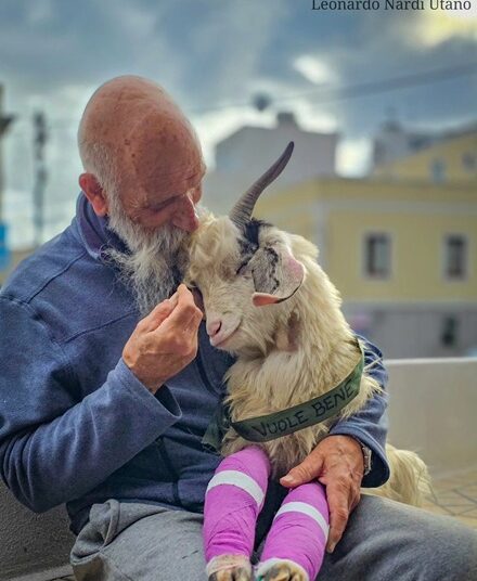 Stromboli, la storia di Giacomino e del capretto Pongo soccorso e diventato come un figlio