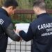 Truffa ai danni dell’Unione Europea: sequestro da mezzo milione nel messinese