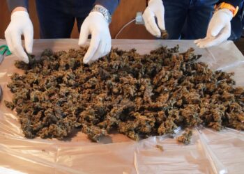 Droga in mare a Capo Milazzo: maxi sequestro della Guardia Costiera