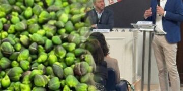 Il Cappero delle Isole Eolie DOP a Roma: identità, territorio e visione condivisa