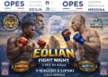 Eolian Fight Night, Marina Corta si trasforma nel tempio degli sport da combattimento