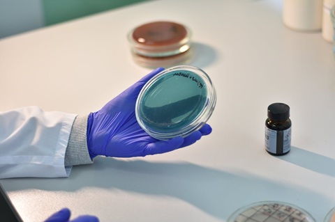 Malattie genetiche rare: come si originano e perché la ricerca è indispensabile