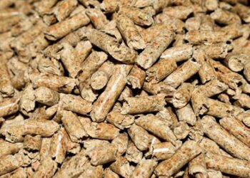 Stufe a pellet canalizzate: i modelli migliori per riscaldare più ambienti