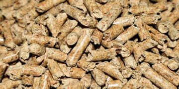 Stufe a pellet canalizzate: i modelli migliori per riscaldare più ambienti