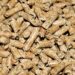 Stufe a pellet canalizzate: i modelli migliori per riscaldare più ambienti