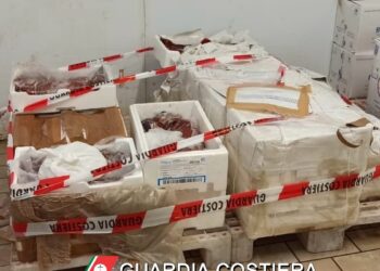 Guardia cost