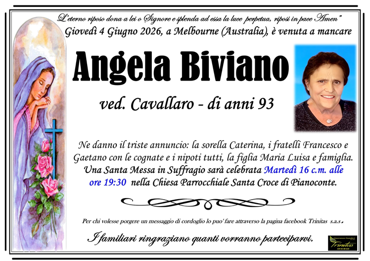 Bozza automatica 988