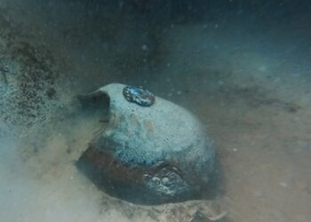 Archeologia subacquea, recuperati reperti a Lampedusa