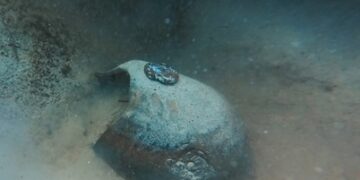 Archeologia subacquea, recuperati reperti a Lampedusa