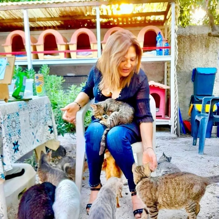 I Gatti Felici di Lipari, la storia di un’oasi dove gli animali salvano gli uomini 1