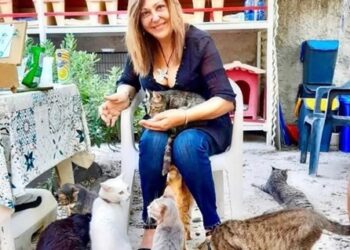 I Gatti Felici di Lipari, la storia di un’oasi dove gli animali salvano gli uomini