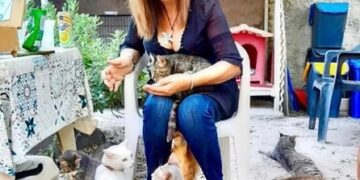 I Gatti Felici di Lipari, la storia di un’oasi dove gli animali salvano gli uomini