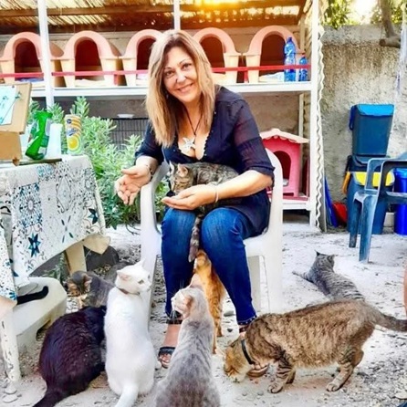 I Gatti Felici di Lipari, la storia di un’oasi dove gli animali salvano gli uomini
