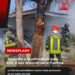  Incendio a Quattropani: auto GPL e box distrutti dalle fiamm