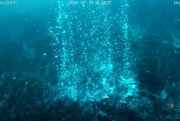 Panarea, l'INGV scopre un vasto cratere sottomarino con emissioni di gas