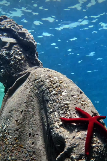 Il capolavoro che Lipari non ha ancora capito: Journey Man, Tusa e il mare che diventa memoria 1